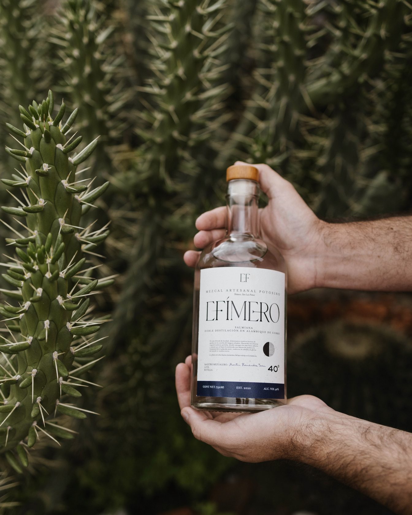 Botella EFÍMERO 40° en mano junto a cactus